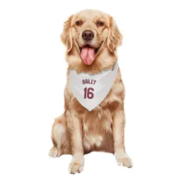 Cleveland Guardians Patrick Bailey White Pet Bandana for Dog & Cat