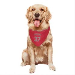 Cleveland Guardians Travis Bazzana Red Gray Pet Bandana for Dog & Cat