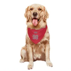 Cleveland Guardians Will Dion Red Gray Pet Bandana for Dog & Cat