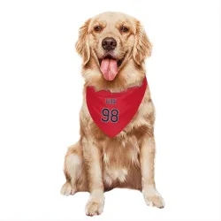 Cleveland Guardians Will Dion Red Pet Bandana for Dog & Cat